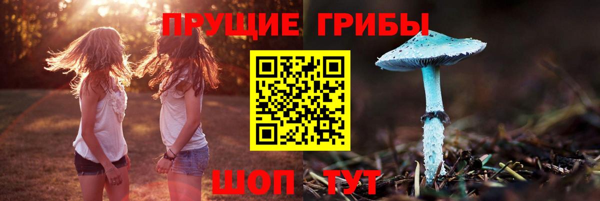 Каменск-Шахтинский  купить   Вход с VPN  Псилоцибиновые грибы прущие грибы 
